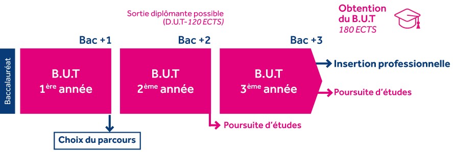 BUT Techniques De Commercialisation - IUT Laval